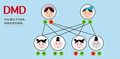 国际DMD治疗药物最新进展突破