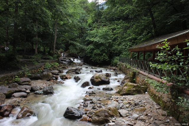 九龙沟风景区最新动态概览