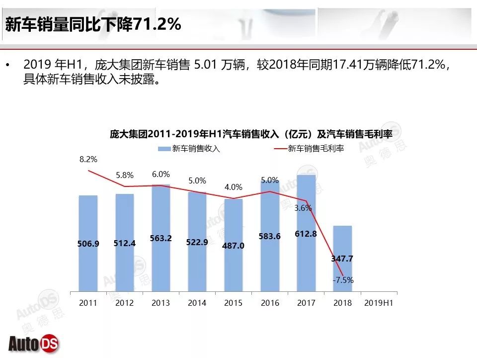 庞大集团迈向未来的战略展望与最新动态（2019年）