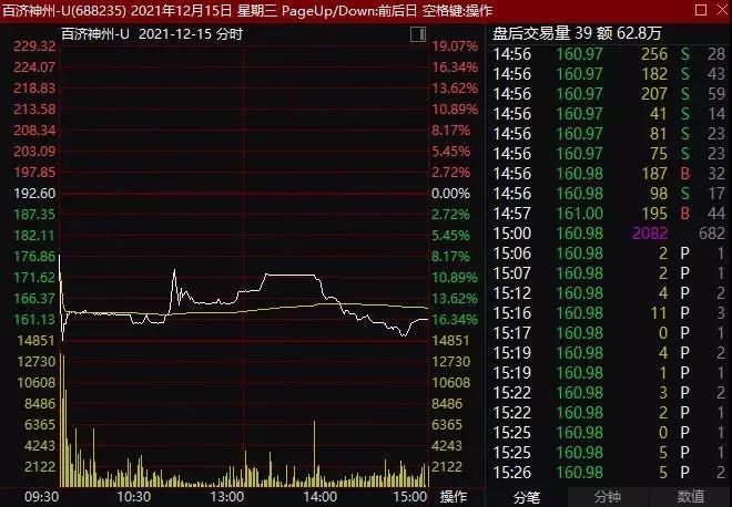 新股最新动态，市场的新机遇与挑战解析